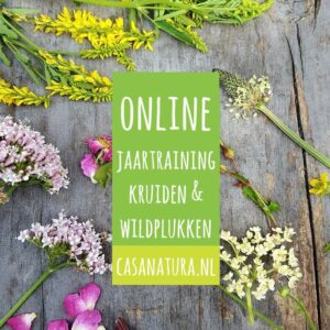casa natura online kruidencursus